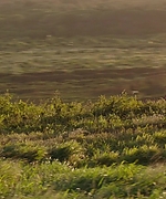 VKA407.jpg